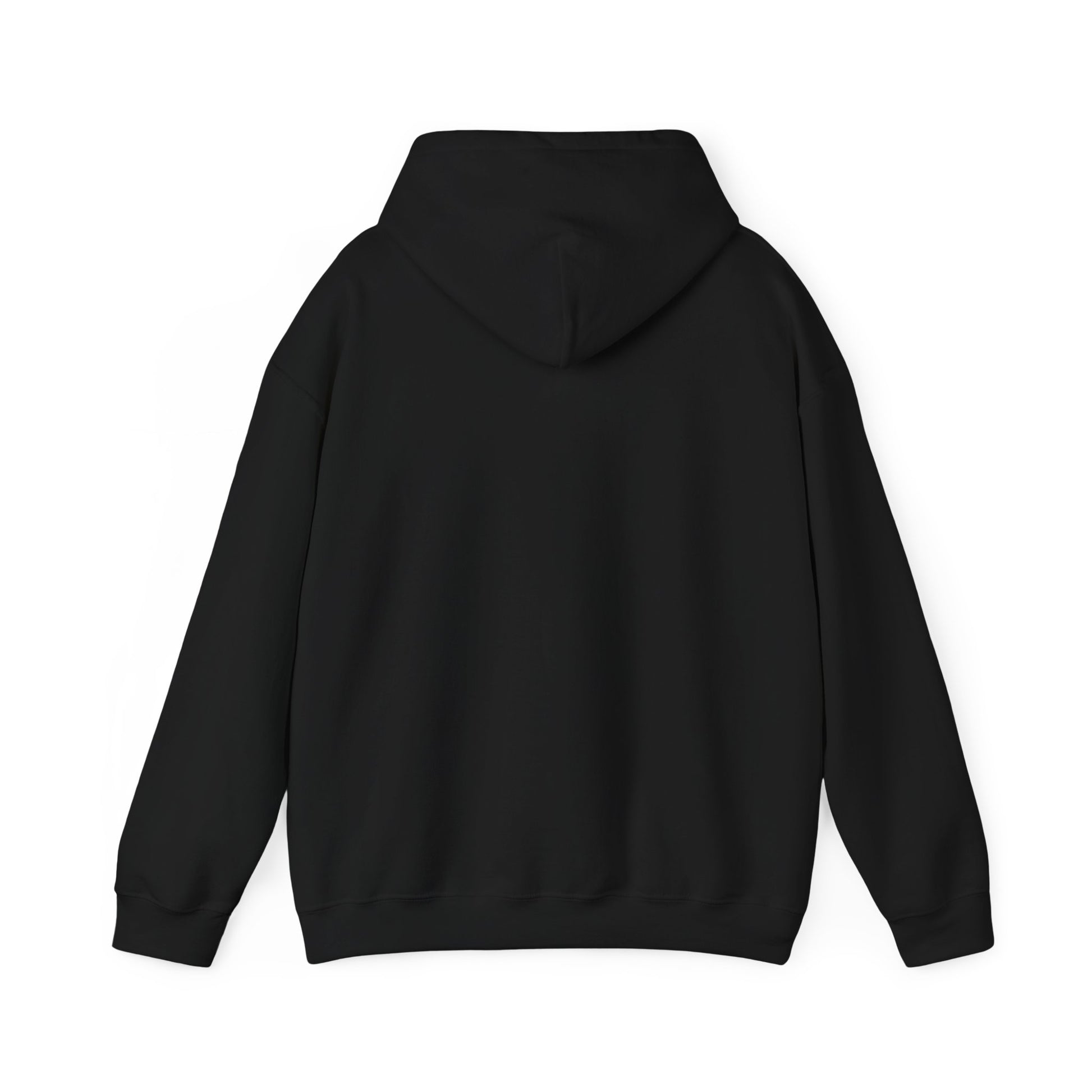 Motivational Hoodie | Unisex Never Give Up Sweatshirt for Daily Inspiration, Gifts, Fitness, Sports, Casual Wear